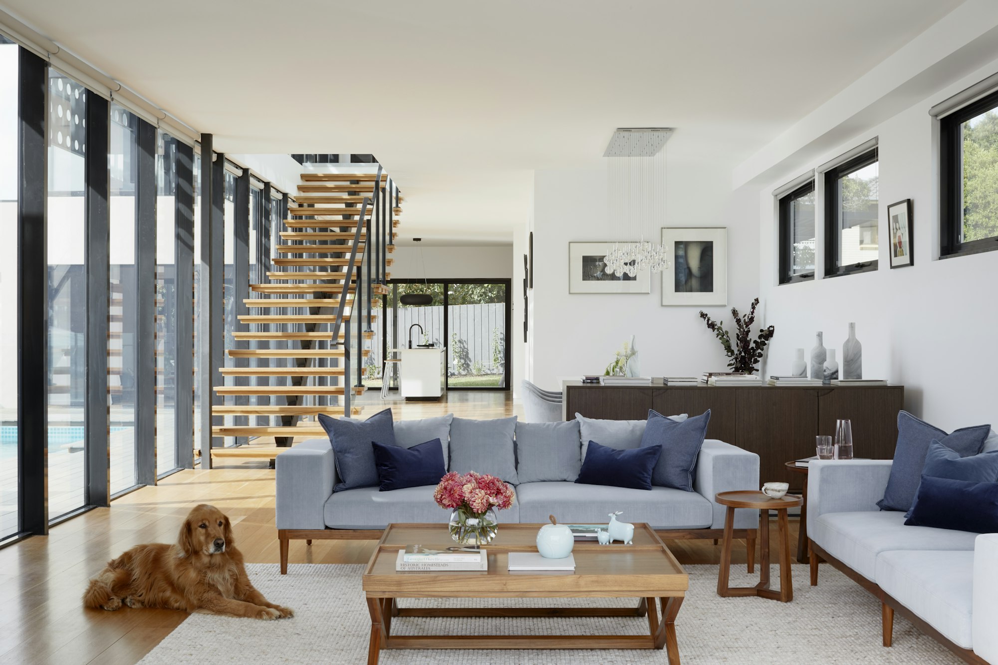 Salón abierto con sofá gris, escalera de peldaños de madera volados y un perro tumbado sobre la alfombra